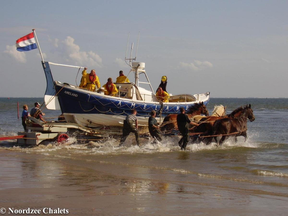 Northseachalets Ameland บูเริน ภายนอก รูปภาพ